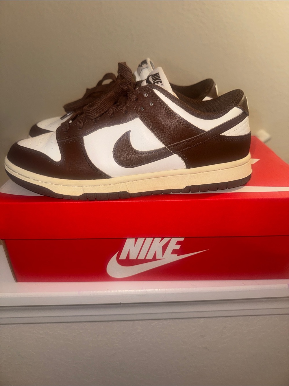 Women’s Nike Dunk Sneakers - Brown, White